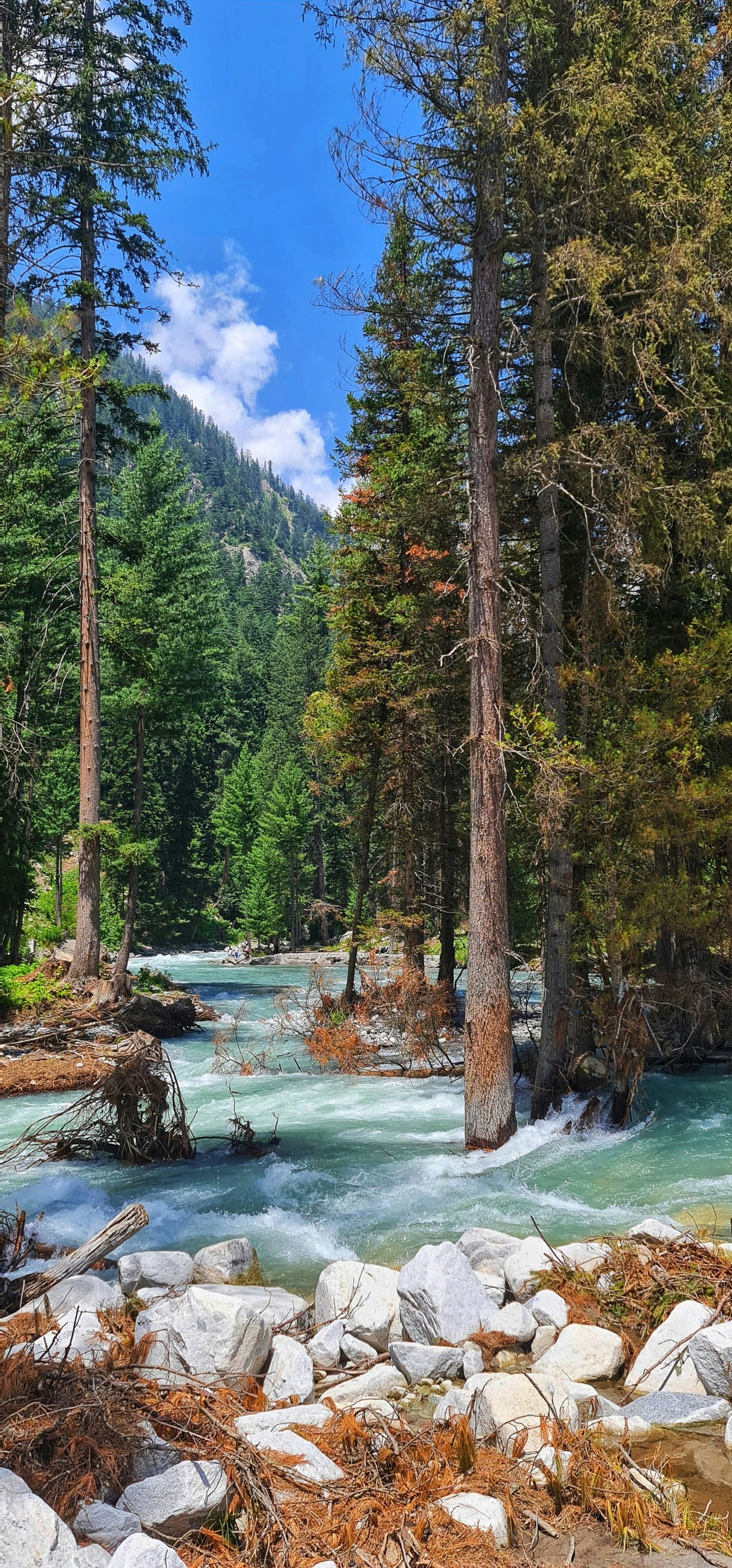 🌲 3 Days Kumrat Valley Tour Package – Departure from Multan | TrippyTrips