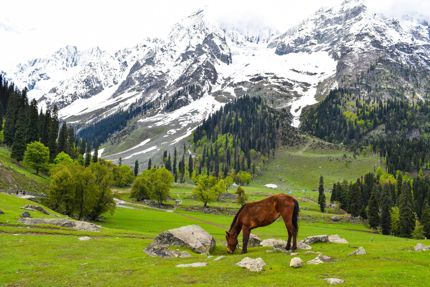 🏞️ 3 Days Kashmir Valley Tour Package – TrippyTrips