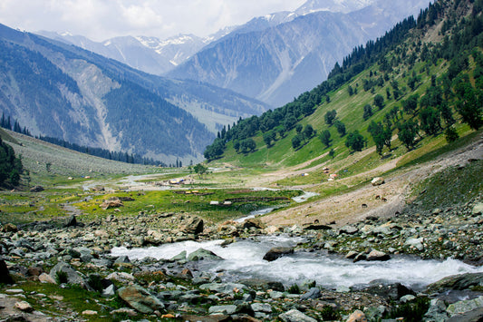 🏞️ 4 Days Kashmir Valley Tour Package – TrippyTrips