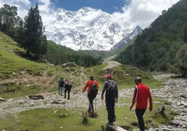 🏔️ 5 Days Fairy Meadows Tour Package – From Multan | TrippyTrips