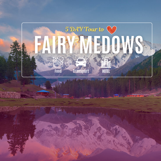 🏔️ 5 Days Fairy Meadows Tour Package – From Multan | TrippyTrips
