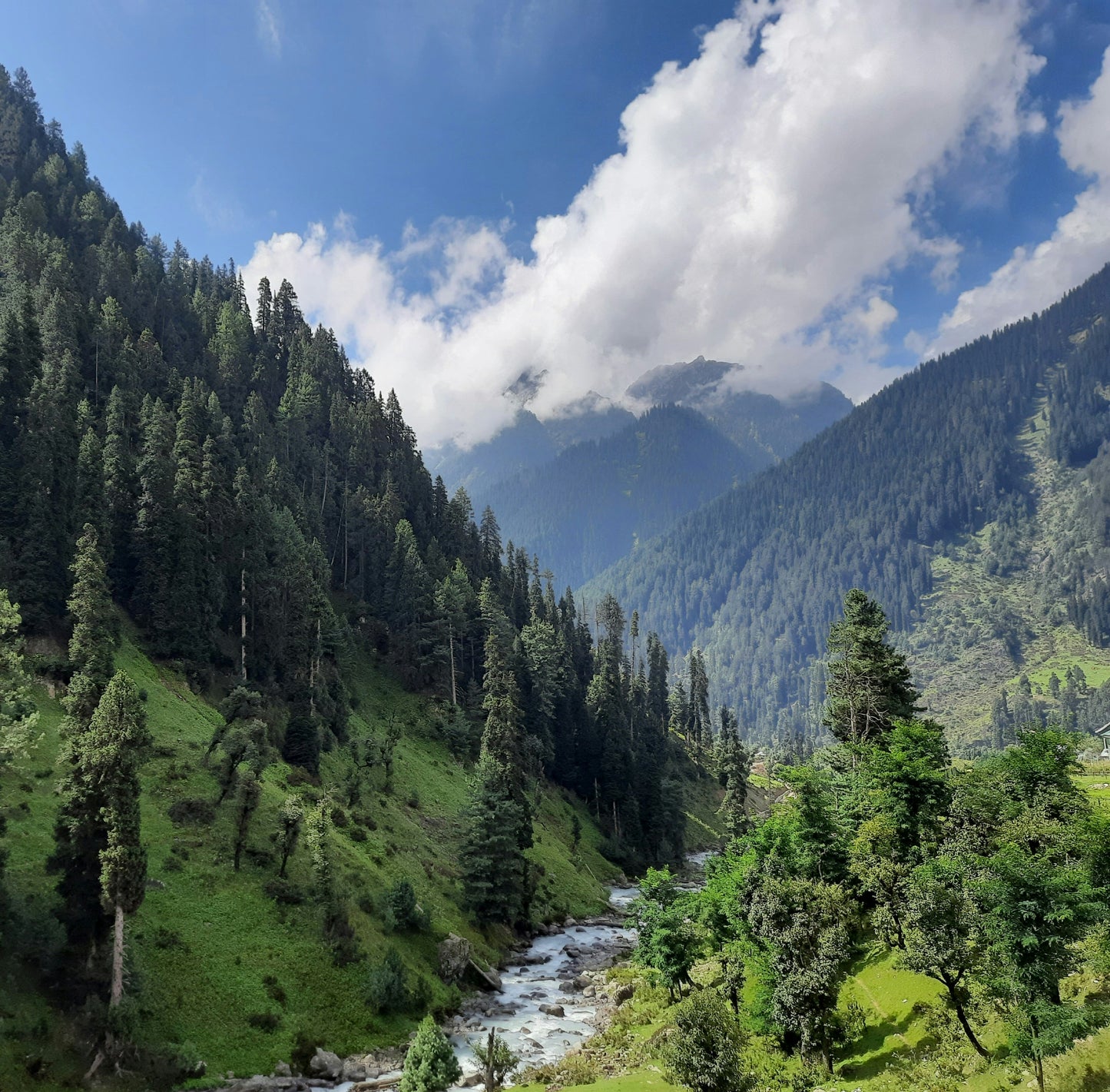 🏞️ 4 Days Kashmir Valley Tour Package – TrippyTrips